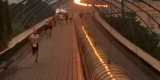 IMG-20221118-WA0015